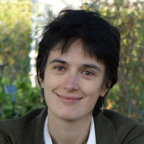 Professor Mihaela van der Schaar
